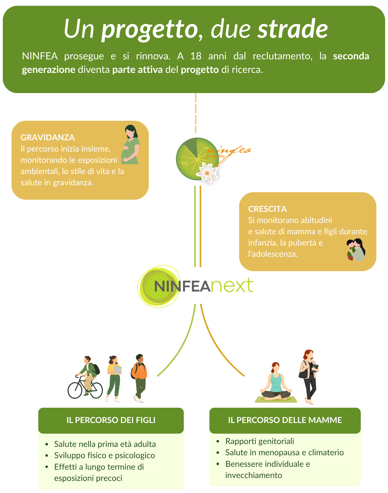 Infografica_c